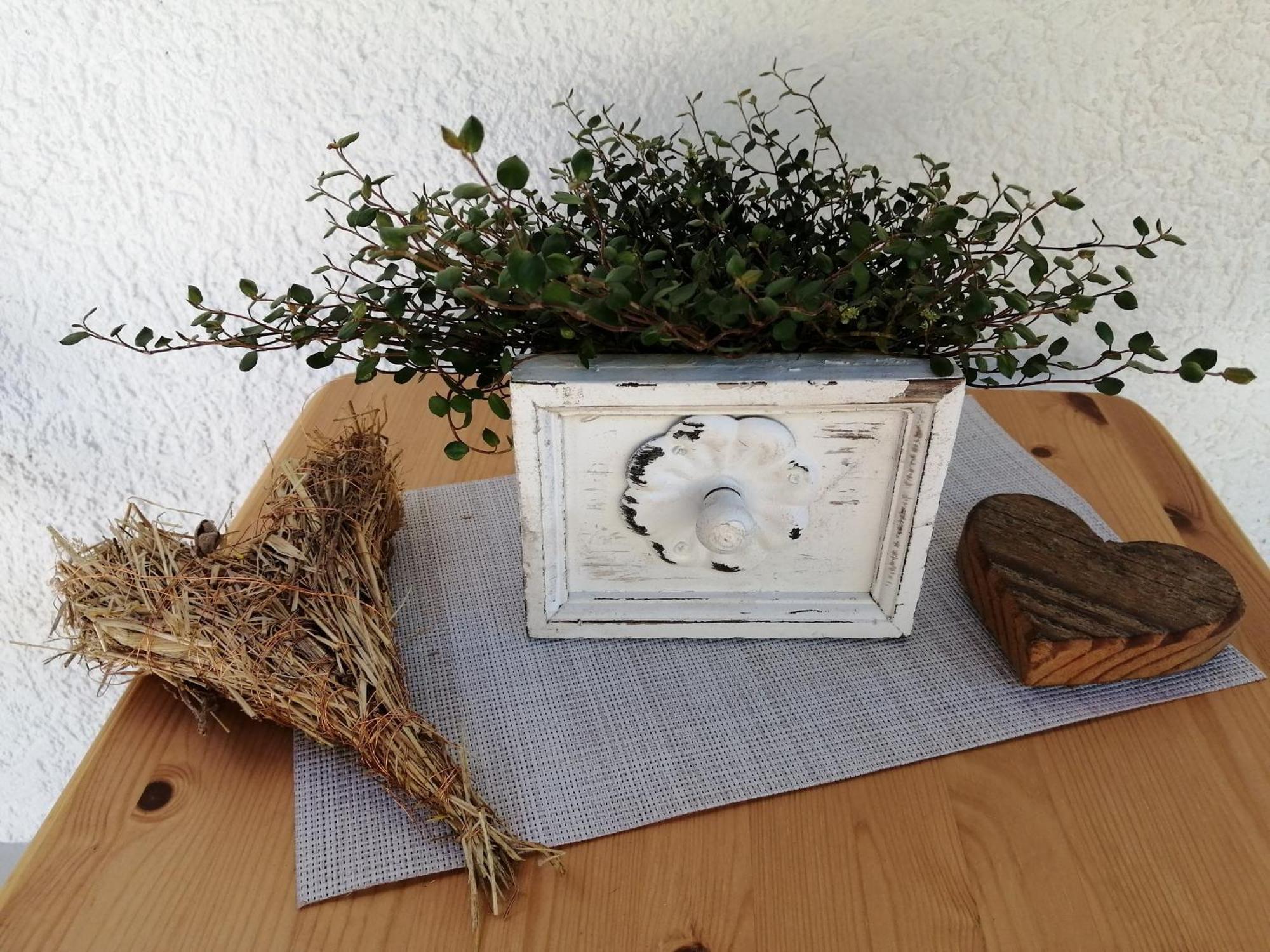 Ferienwohnung Deine Rauszeit Seebach Extérieur photo