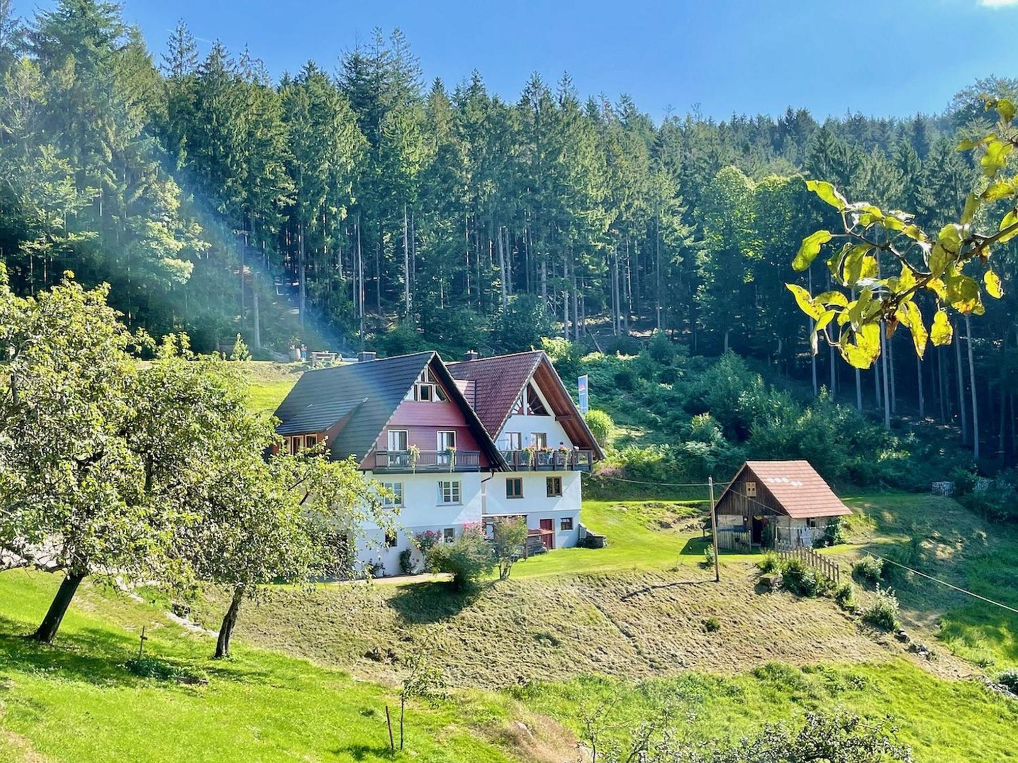 Ferienwohnung Deine Rauszeit Seebach Extérieur photo